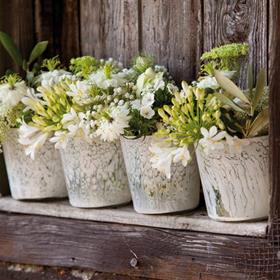 fwthumbWhite Pots.jpg